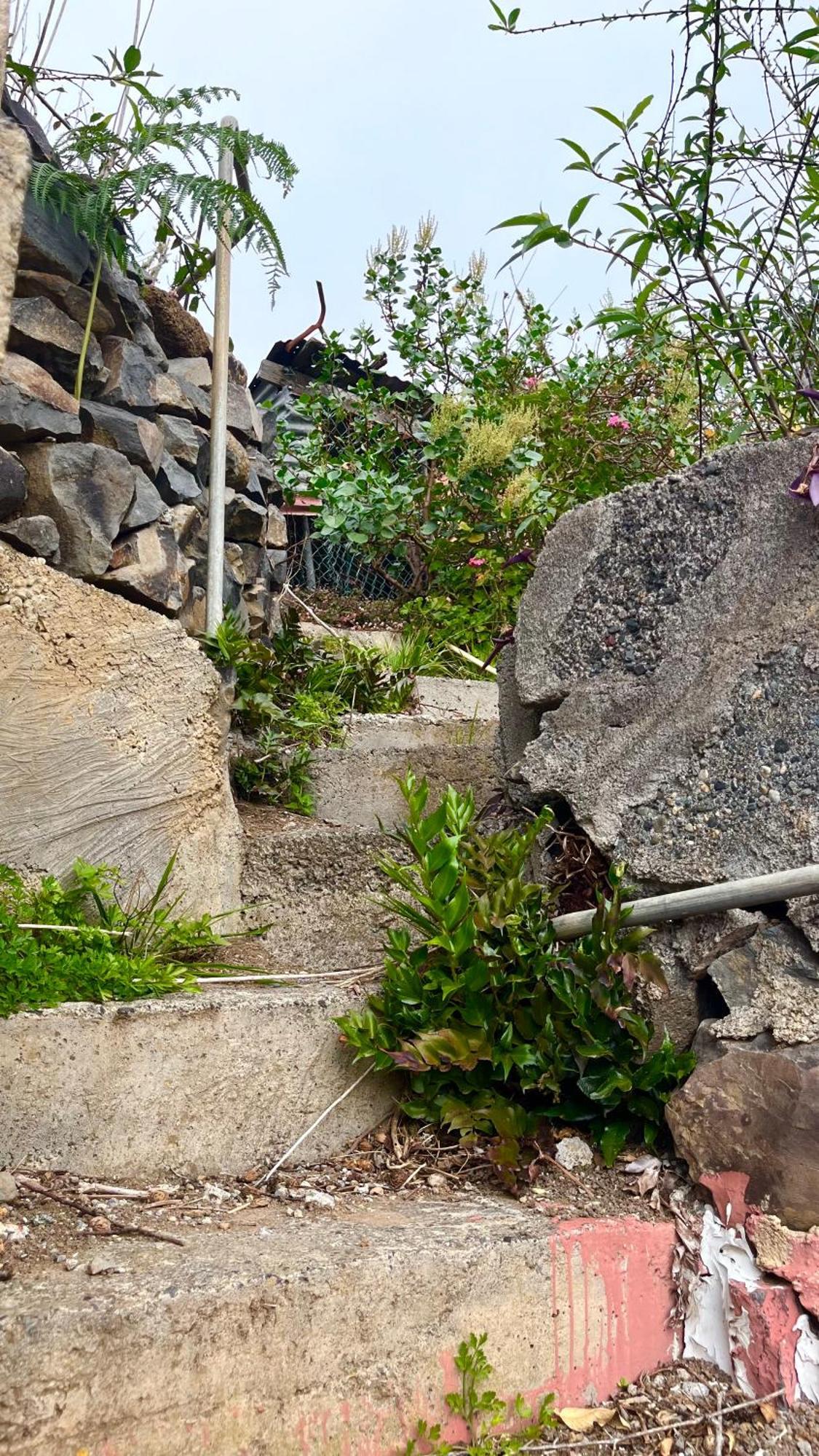 Shiva Kali Temple Hostel Agulo ภายนอก รูปภาพ