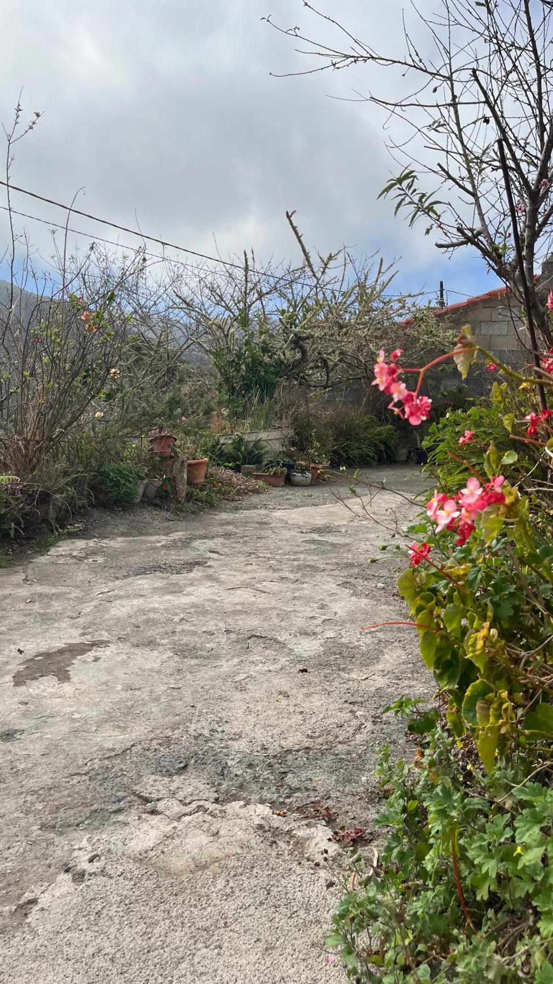 Shiva Kali Temple Hostel Agulo ภายนอก รูปภาพ